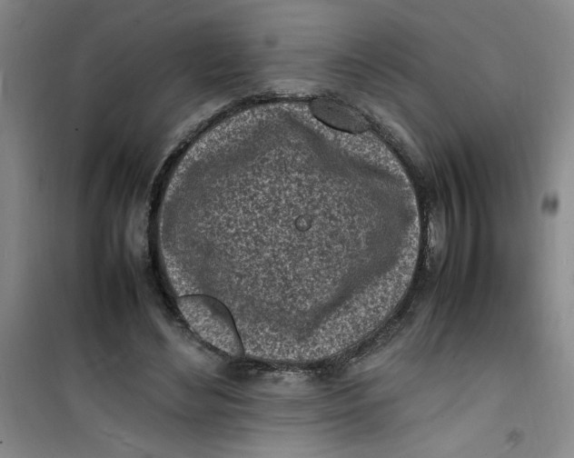 X0000100980492200807151419