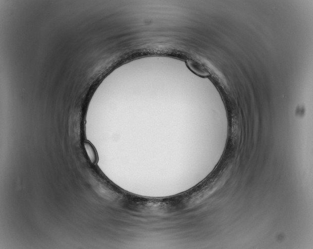 X0000100980493200807151419