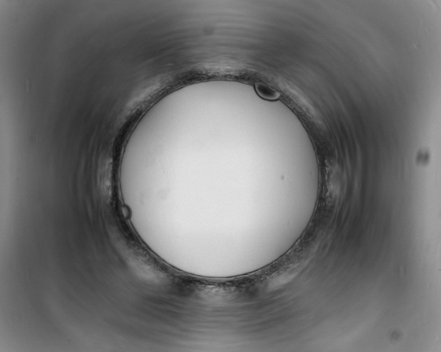 X0000100980494200807151419