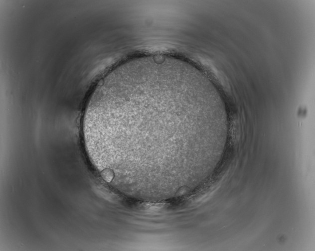 X0000100980495200807151419