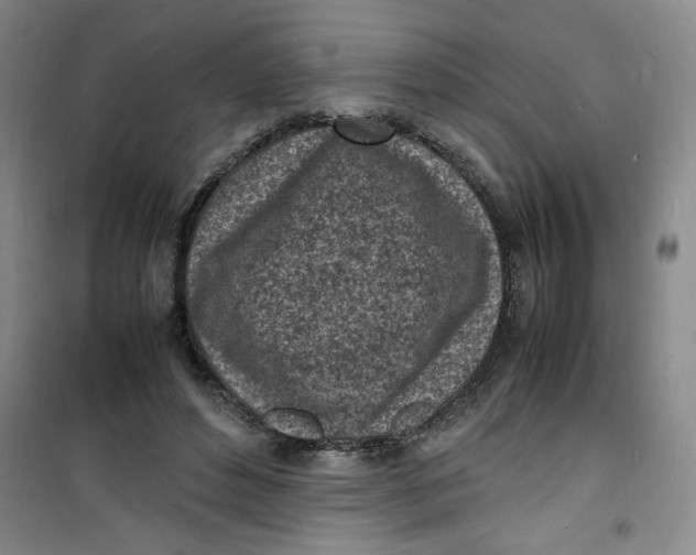 X0000100980496200807151419