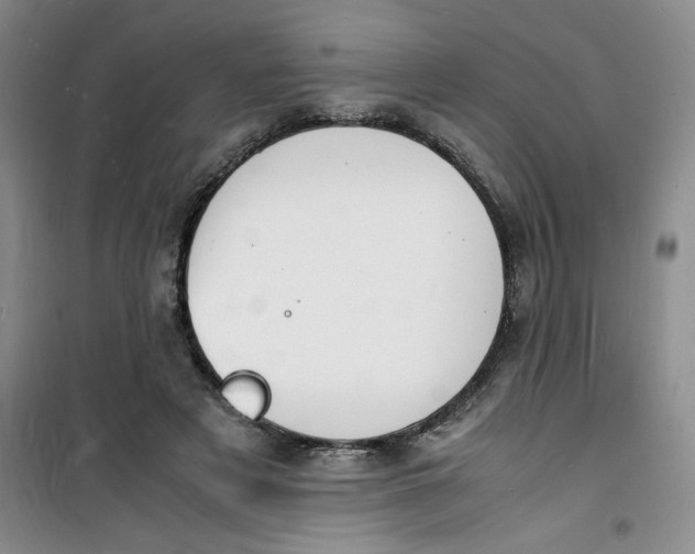 X0000100980497200807151419