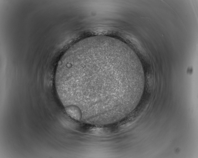 X0000100980499200807151419