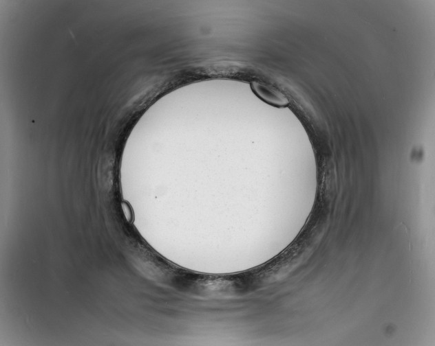 X0000100980501200807151419