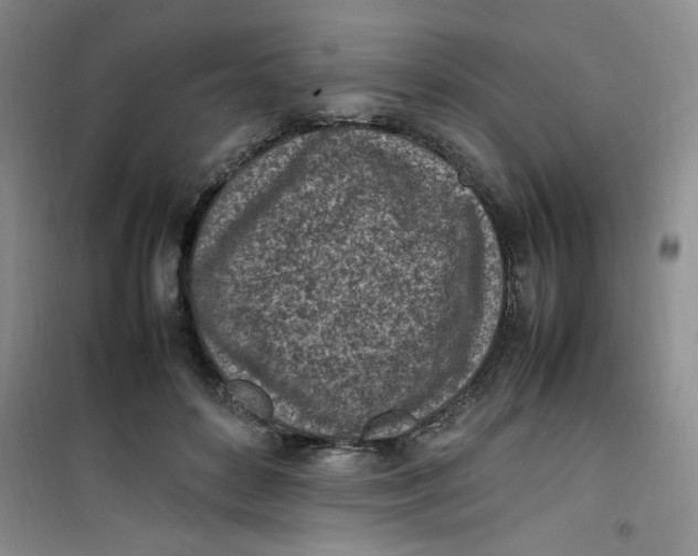 X0000100980504200807151419