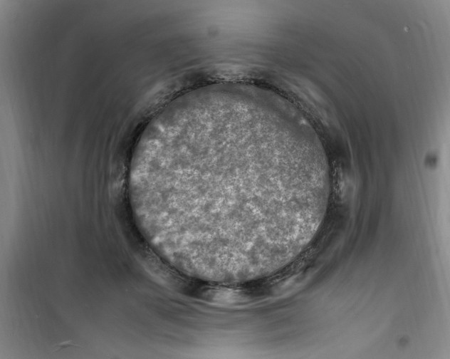 X0000100980507200807151418