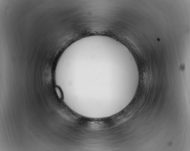 X0000100980508200807151418