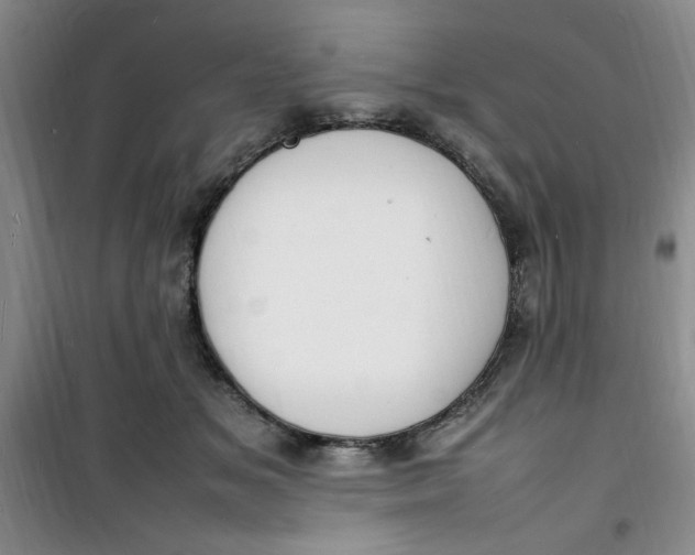 X0000100980509200807151418