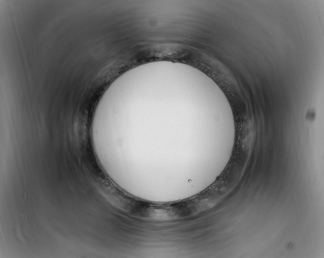 X0000100980510200807151418