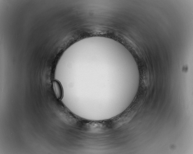 X0000100980512200807151418