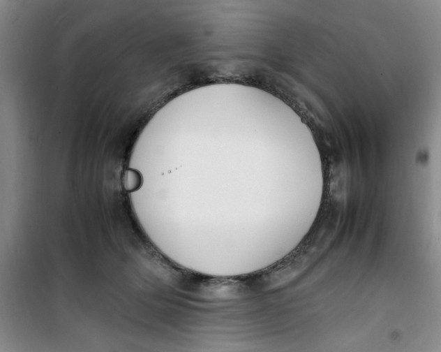 X0000100980514200807151418