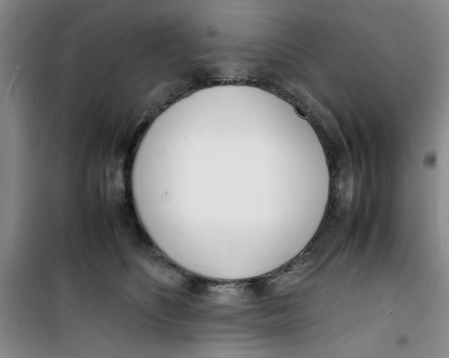 X0000100980516200807151418