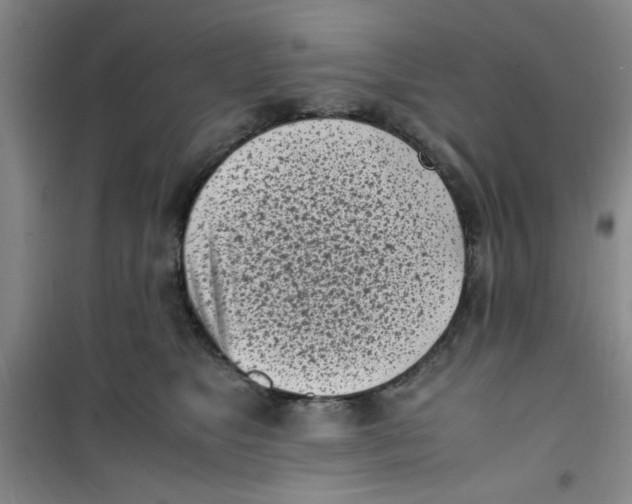 X0000100980517200807151418