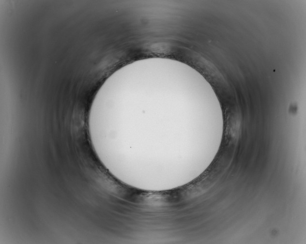 X0000100980518200807151418