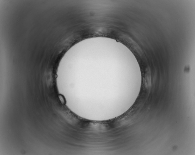 X0000100980520200807151418