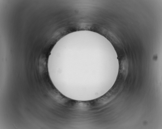 X0000100980522200807151418