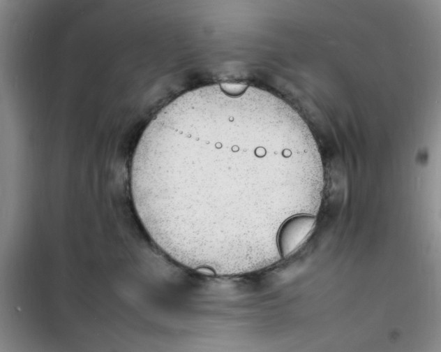 X0000100980523200807151418