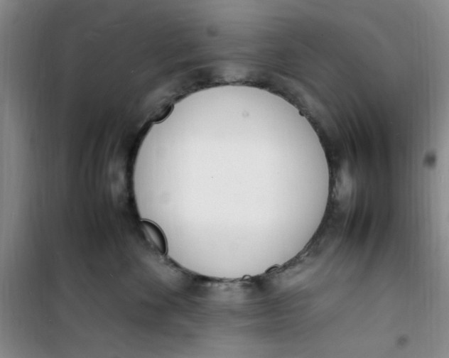 X0000100980524200807151418