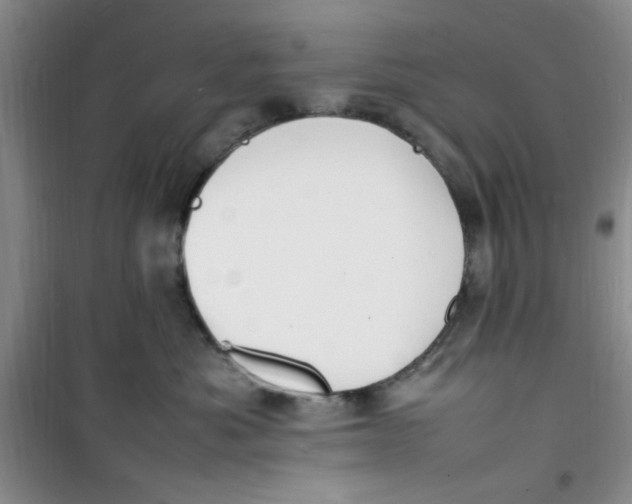 X0000100980525200807151418