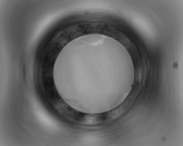 X0000100980526200807151418