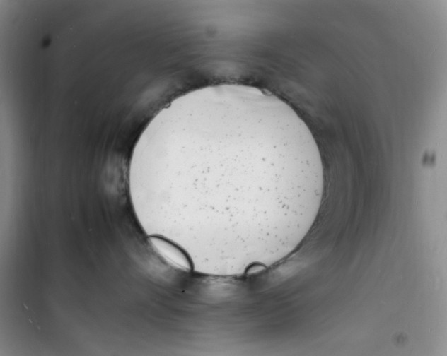 X0000100980528200807151418