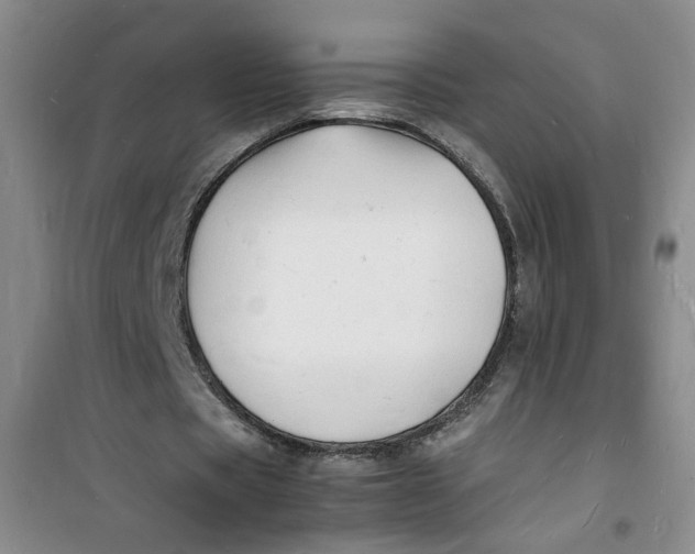 X0000100980529200807151417