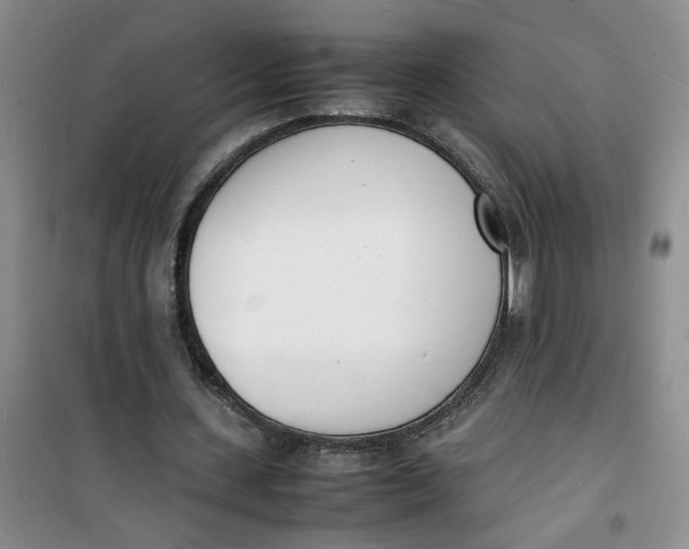 X0000100980531200807151417