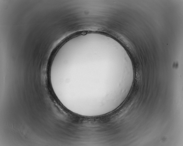 X0000100980532200807151417