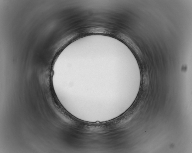 X0000100980533200807151418