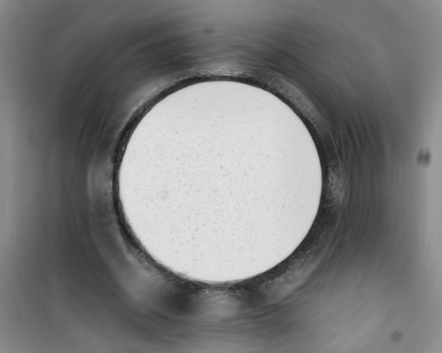 X0000100980534200807151418