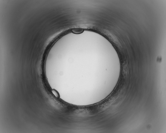 X0000100980536200807151418