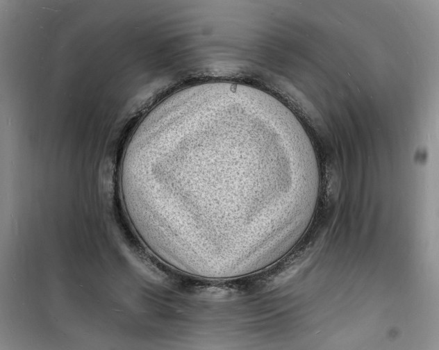 X0000100980542200807151418