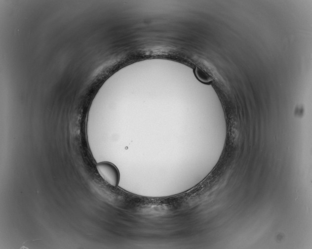 X0000100980543200807151418