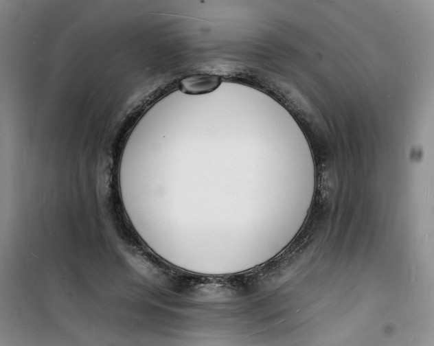 X0000100980544200807151418