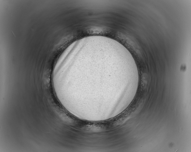 X0000100980545200807151418