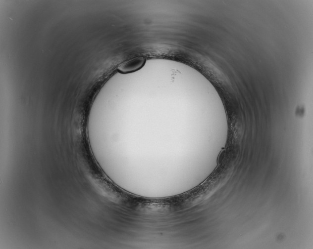 X0000100980546200807151418