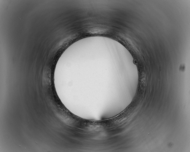 X0000100980547200807151418