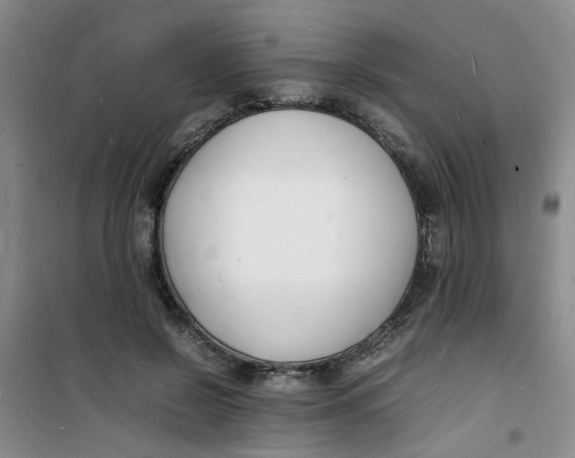 X0000100980550200807151418