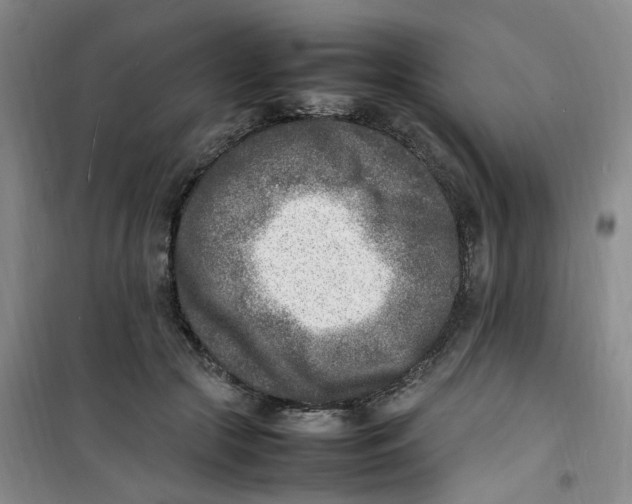 X0000100980553200807151418