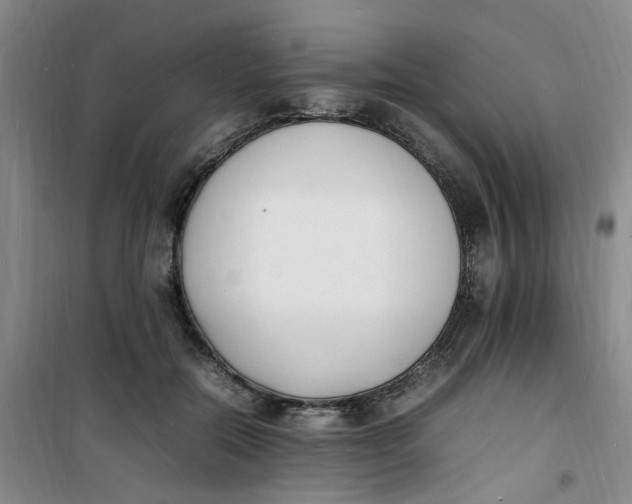 X0000100980554200807151418