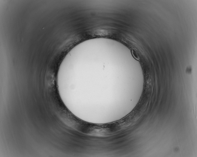 X0000100980555200807151418