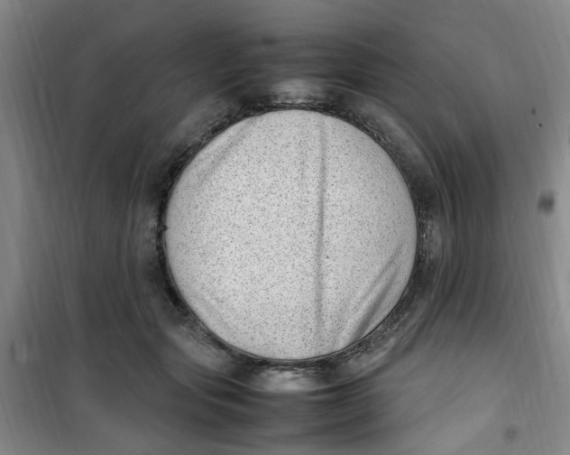 X0000100980557200807151418