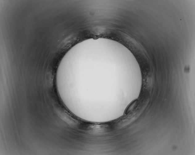 X0000100980558200807151418