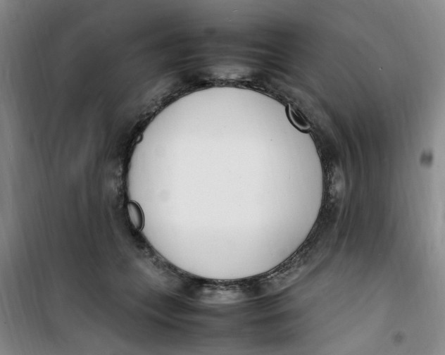 X0000100980559200807151418