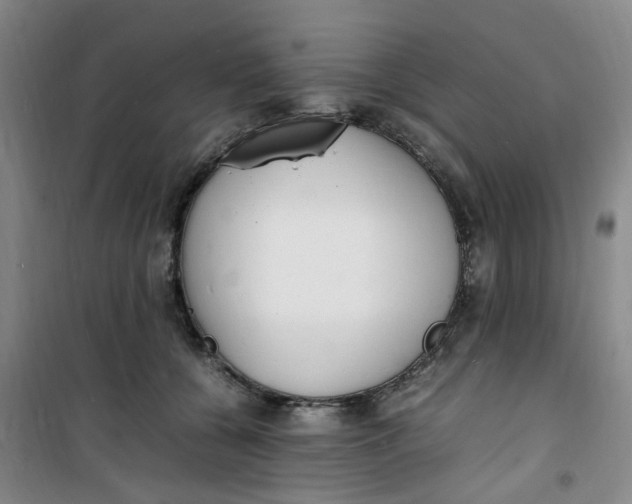 X0000100980560200807151418