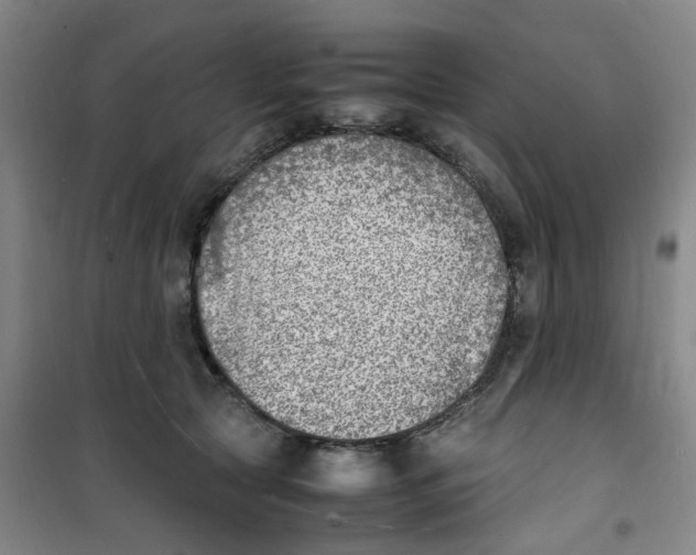 X0000100980561200807151418