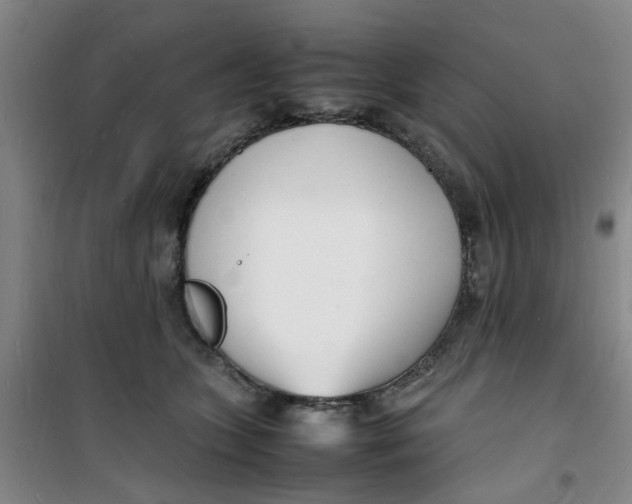 X0000100980563200807151418