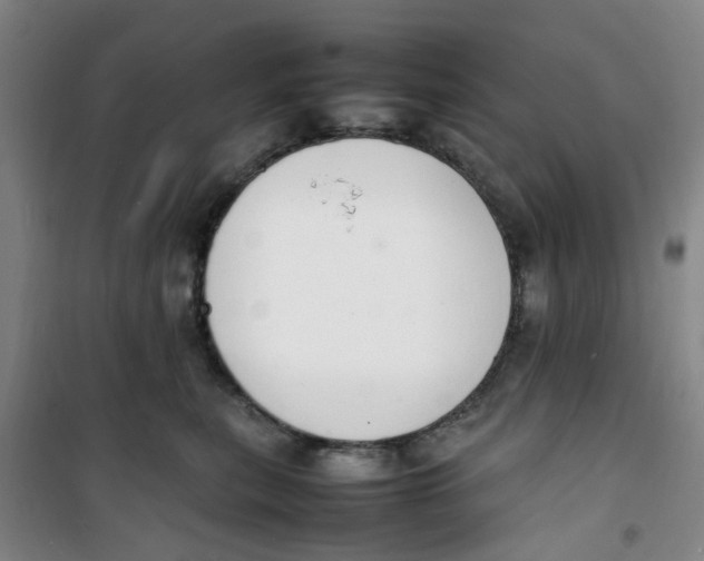 X0000100980567200807151418