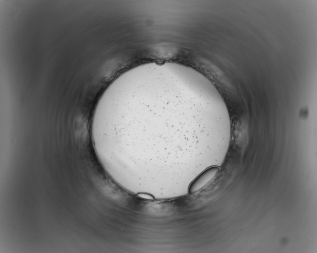 X0000100980568200807151418