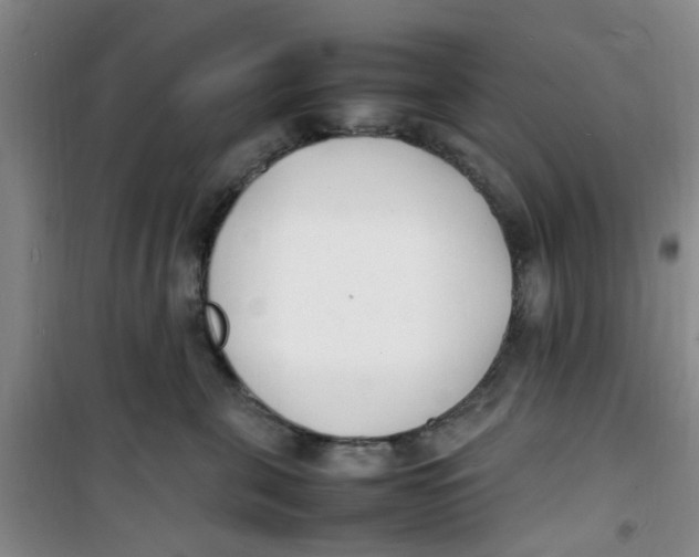 X0000100980571200807151418